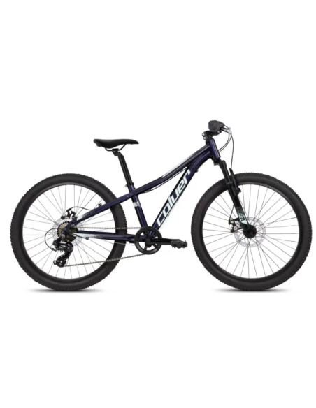 Bicicleta Ascent 242
