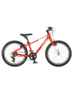 Bicicleta Wild Cross (20)