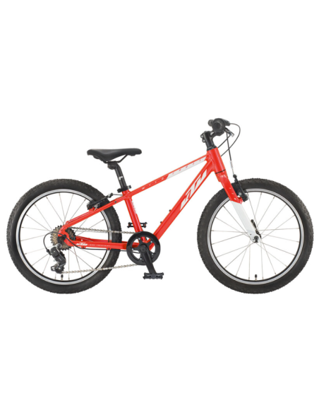 Bicicleta Wild Cross (20)