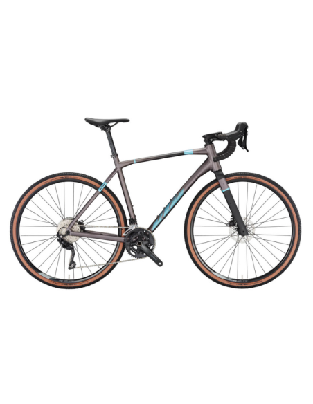 Bicicleta X-Strada 20